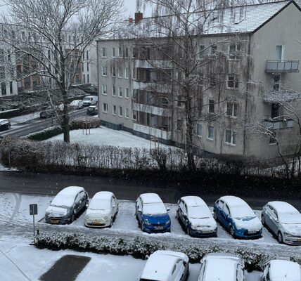 Survive winter in Germany